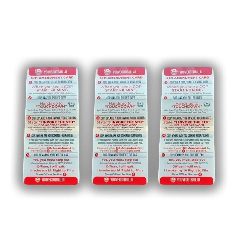 3 FIFTH AMENDMENT AUTO PLAQUE