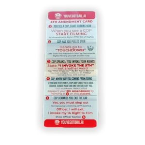 FIFTH AMENDMENT AUTO PLAQUE